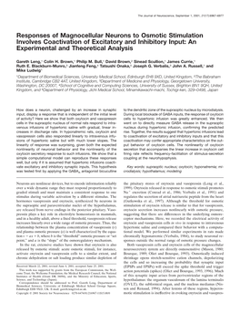 Responses of Magnocellular Neurons to Osmotic Stimulation Involves Coactivation of Excitatory and Inhibitory Input: an Experimental and Theoretical Analysis