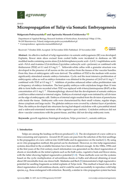 Micropropagation of Tulip Via Somatic Embryogenesis