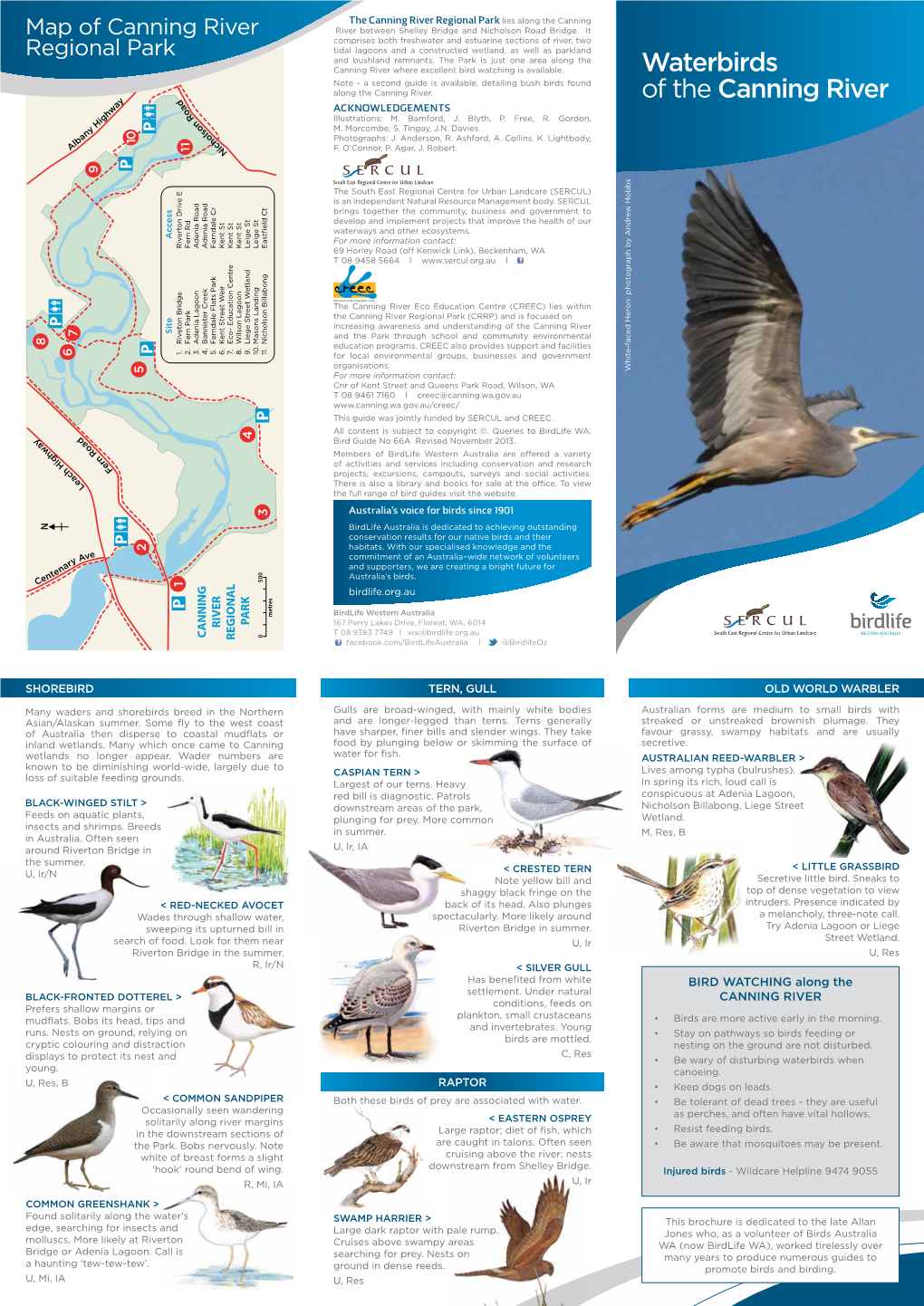 Waterbirds of the Canning River