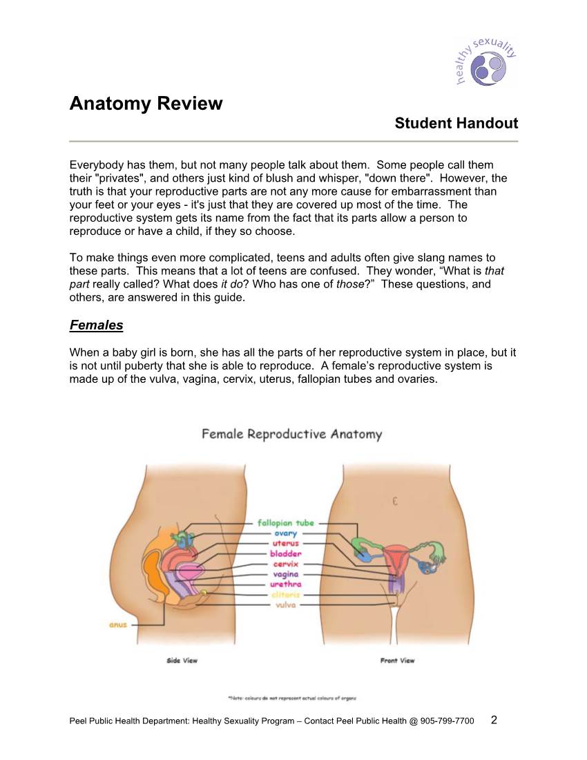 Anatomy Review Student Handout