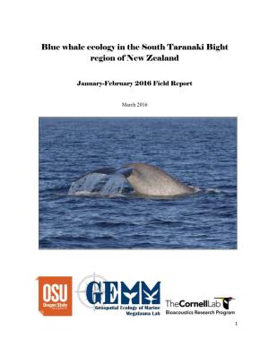 Blue Whale Ecology in the South Taranaki Bight Region of New Zealand