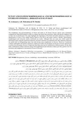 Nutlet and Flower Morphological and Micromorphological Studies on Onosma L