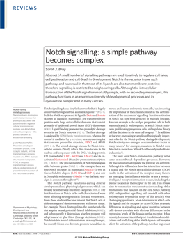 Notch Signalling: a Simple Pathway Becomes Complex