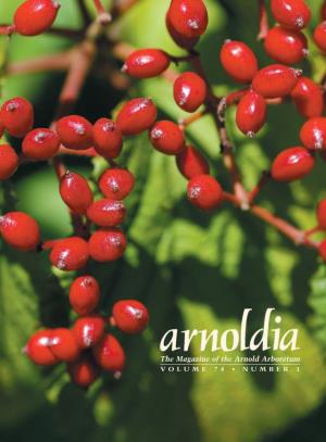 The Magazine of the Arnold Arboretum VOLUME 74 • NUMBER 1