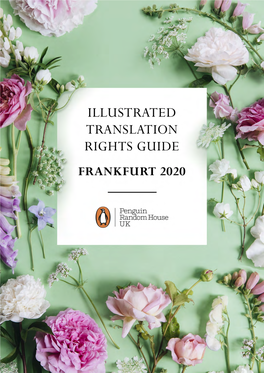 Illustration Translation Rights Guide