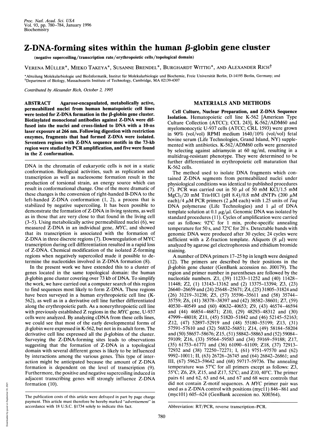 Z-DNA-Forming Sites Within the Human .3-Globin Gene Cluster