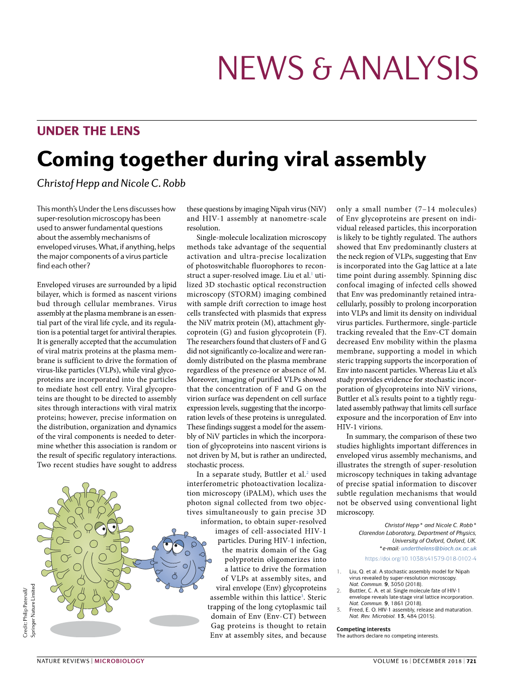 Coming Together During Viral Assembly Christof Hepp and Nicole C