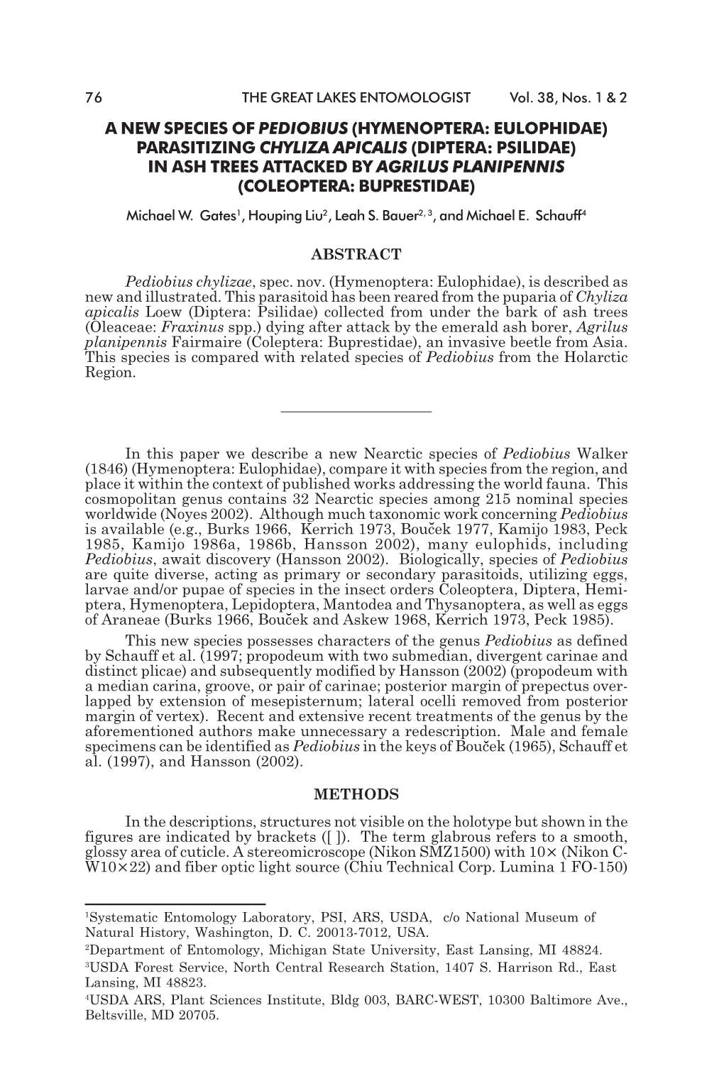 A New Species of Pediobius (Hymenoptera: Eulophidae) Parasitizing Chyliza Apicalis (Diptera: Psilidae) in Ash Trees Attacked By