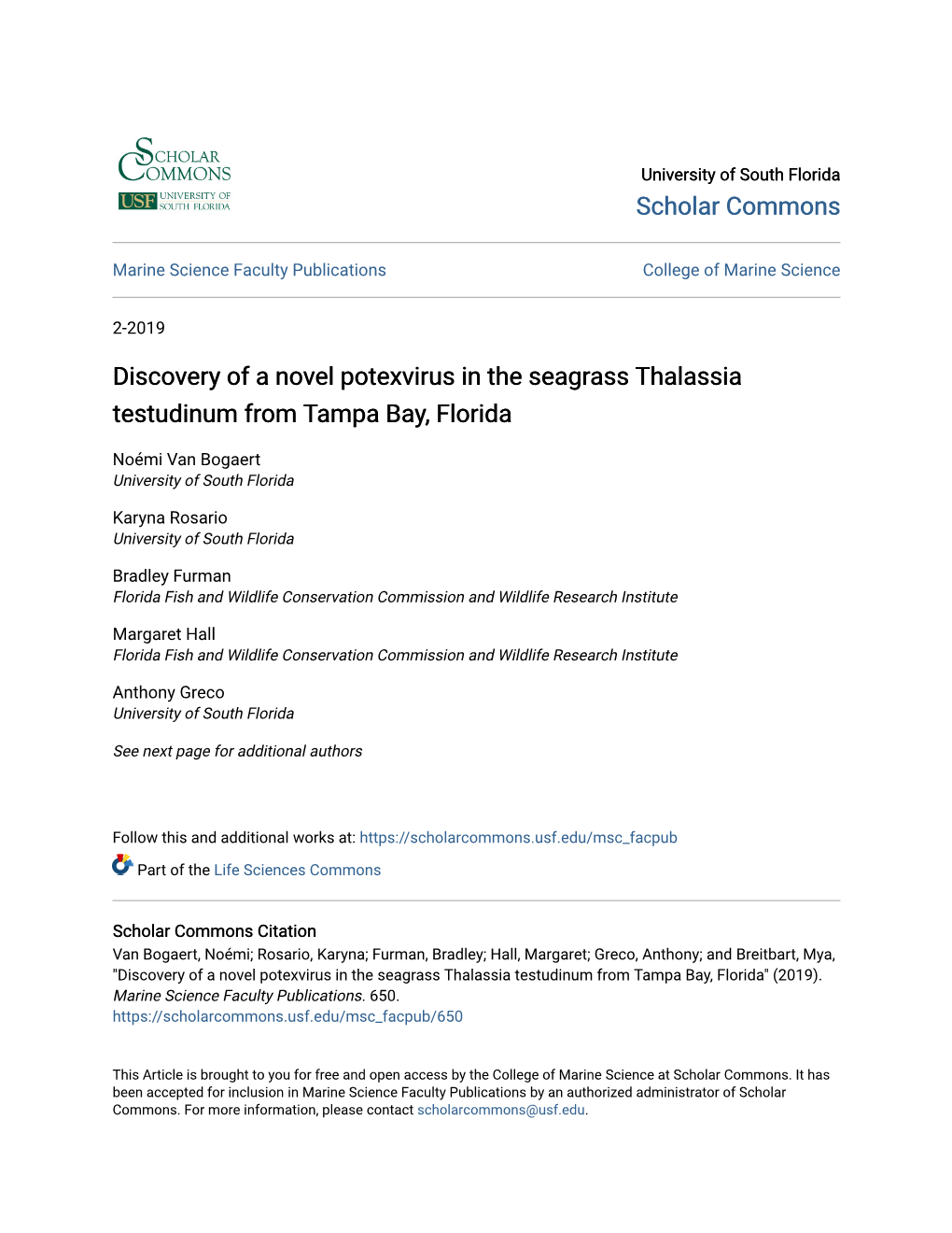 Discovery of a Novel Potexvirus in the Seagrass Thalassia Testudinum from Tampa Bay, Florida
