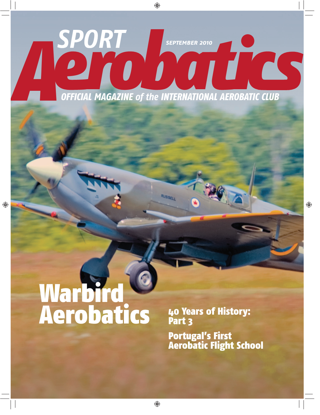 Warbird Aerobatics