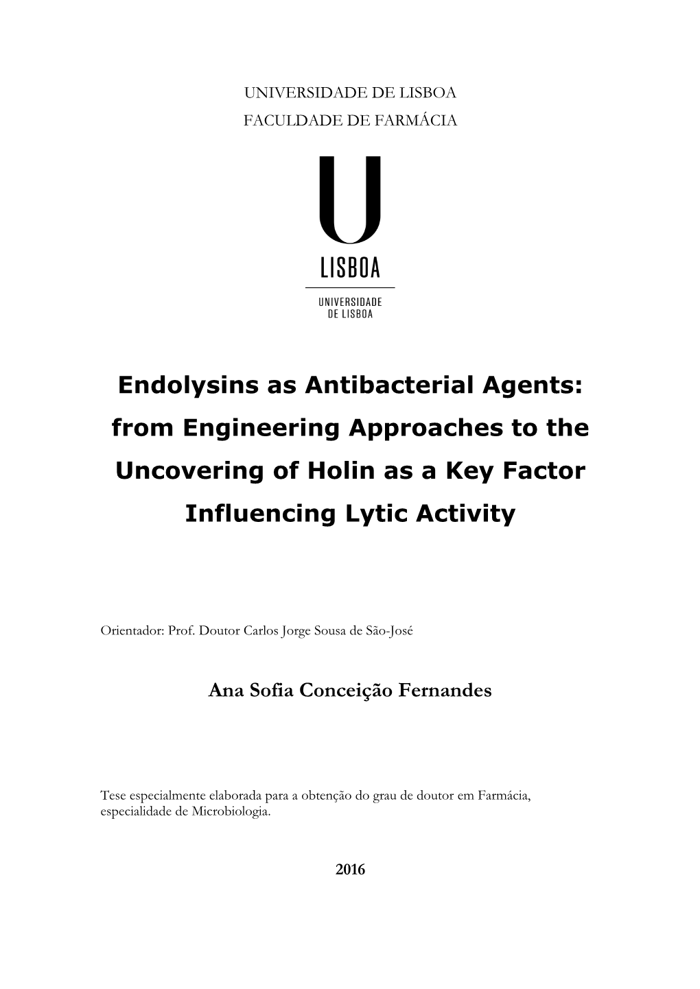 Endolysins As Antibacterial Agents: from Engineering Approaches to the Uncovering of Holin As a Key Factor Influencing Lytic Activity