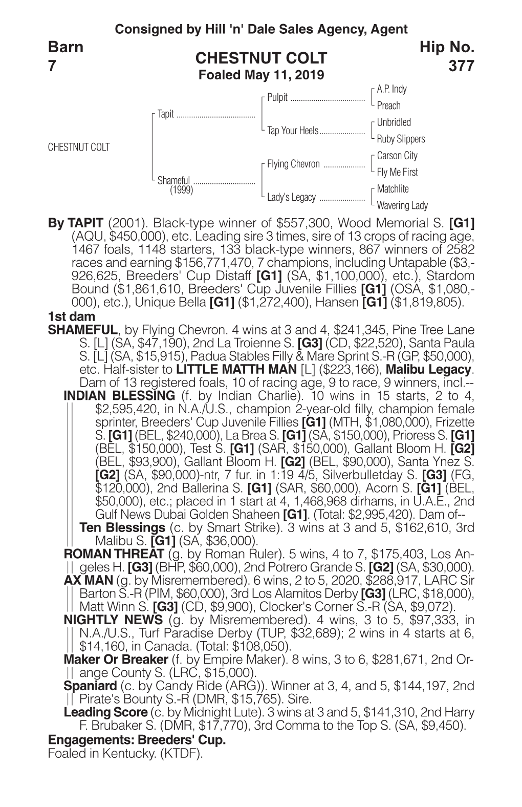 CHESTNUT COLT Barn 7 Hip No