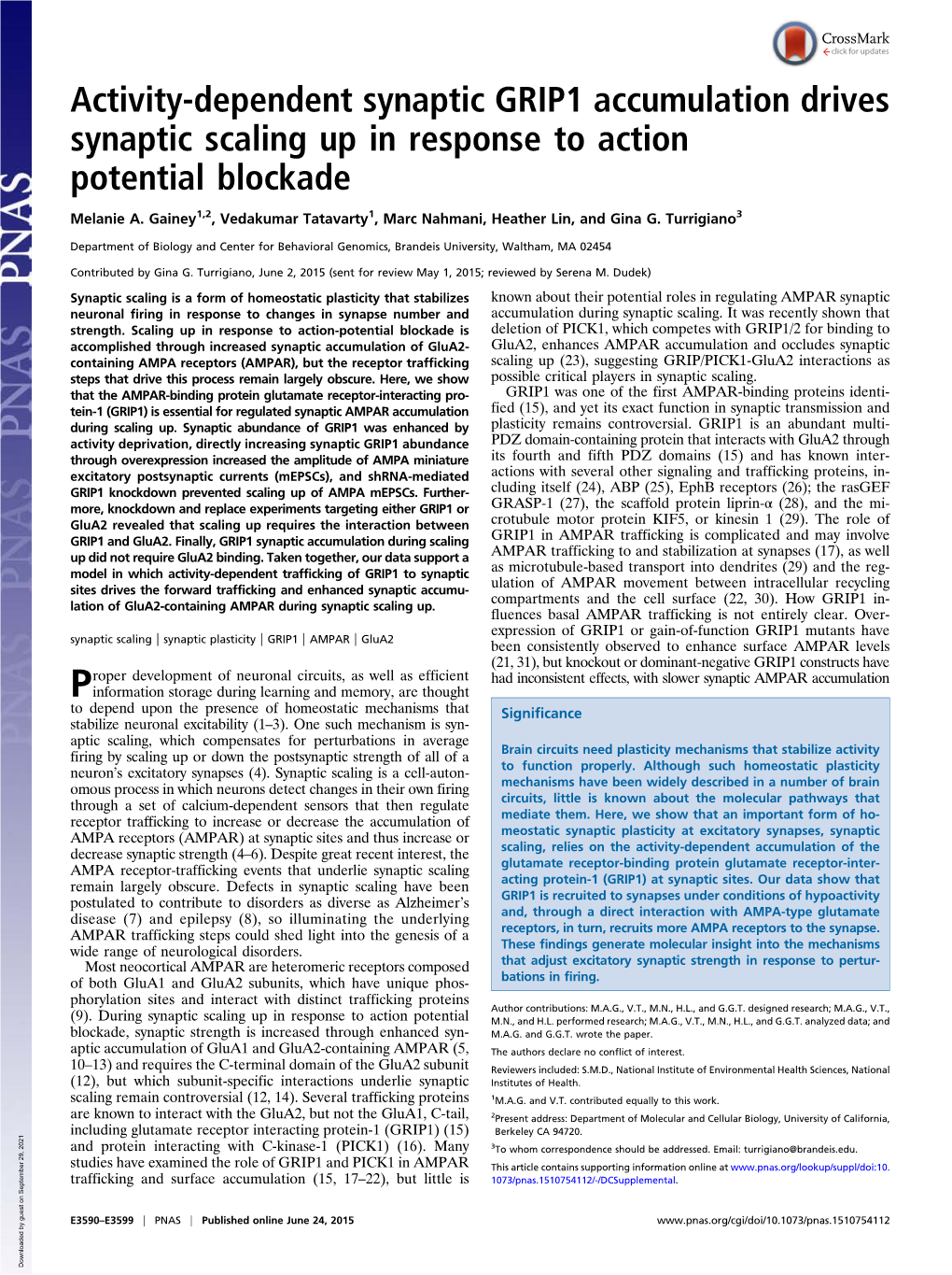 Activity-Dependent Synaptic GRIP1 Accumulation Drives Synaptic Scaling up in Response to Action Potential Blockade