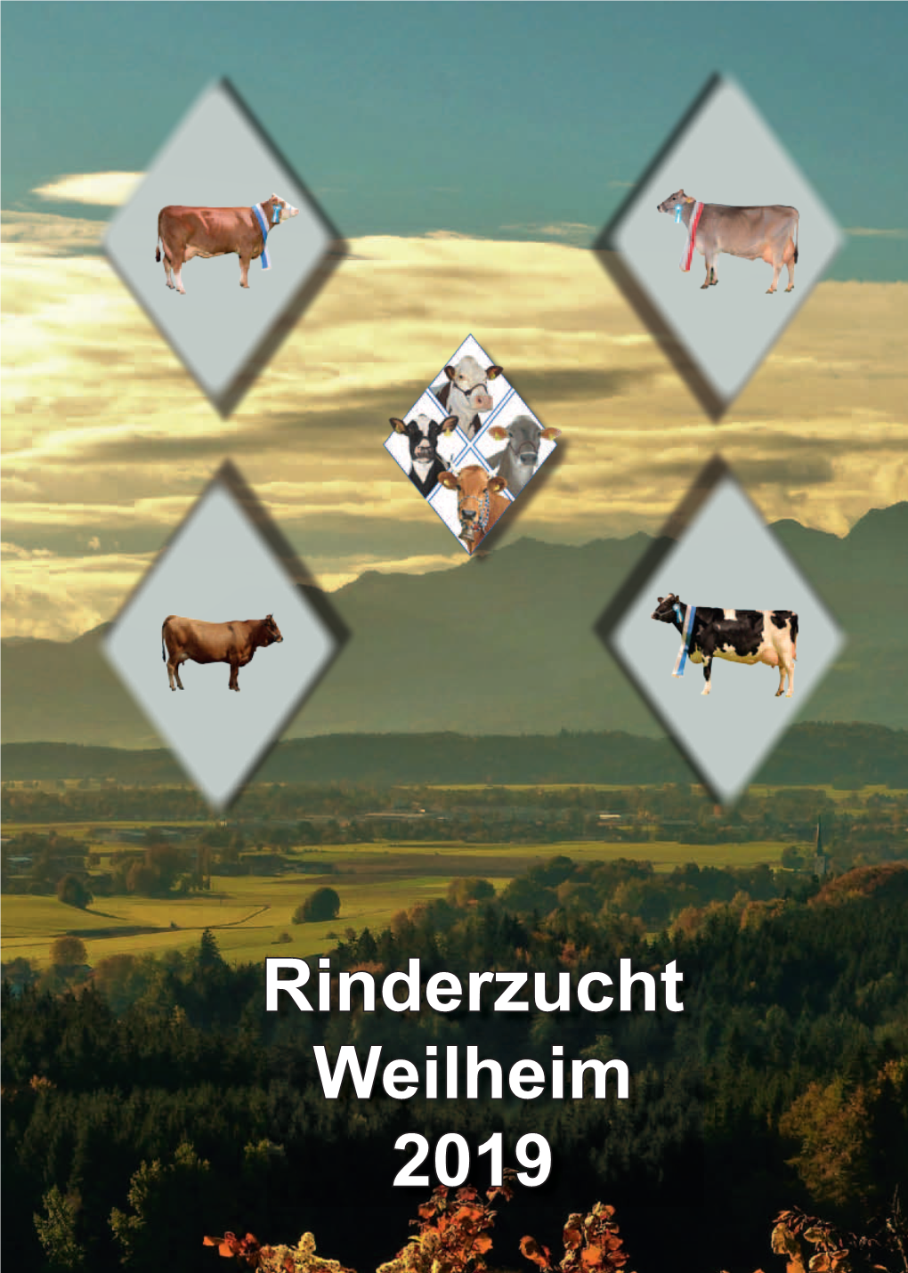 Rinderzucht Weilheim 2019 - 2 - - 3 - Inhalt Vorwort Geehrte Verbandsmitglieder, Liebe Züchterfamilien, Es Liegt Wieder Ein Sehr Bewegtes Jahr Hinter Uns