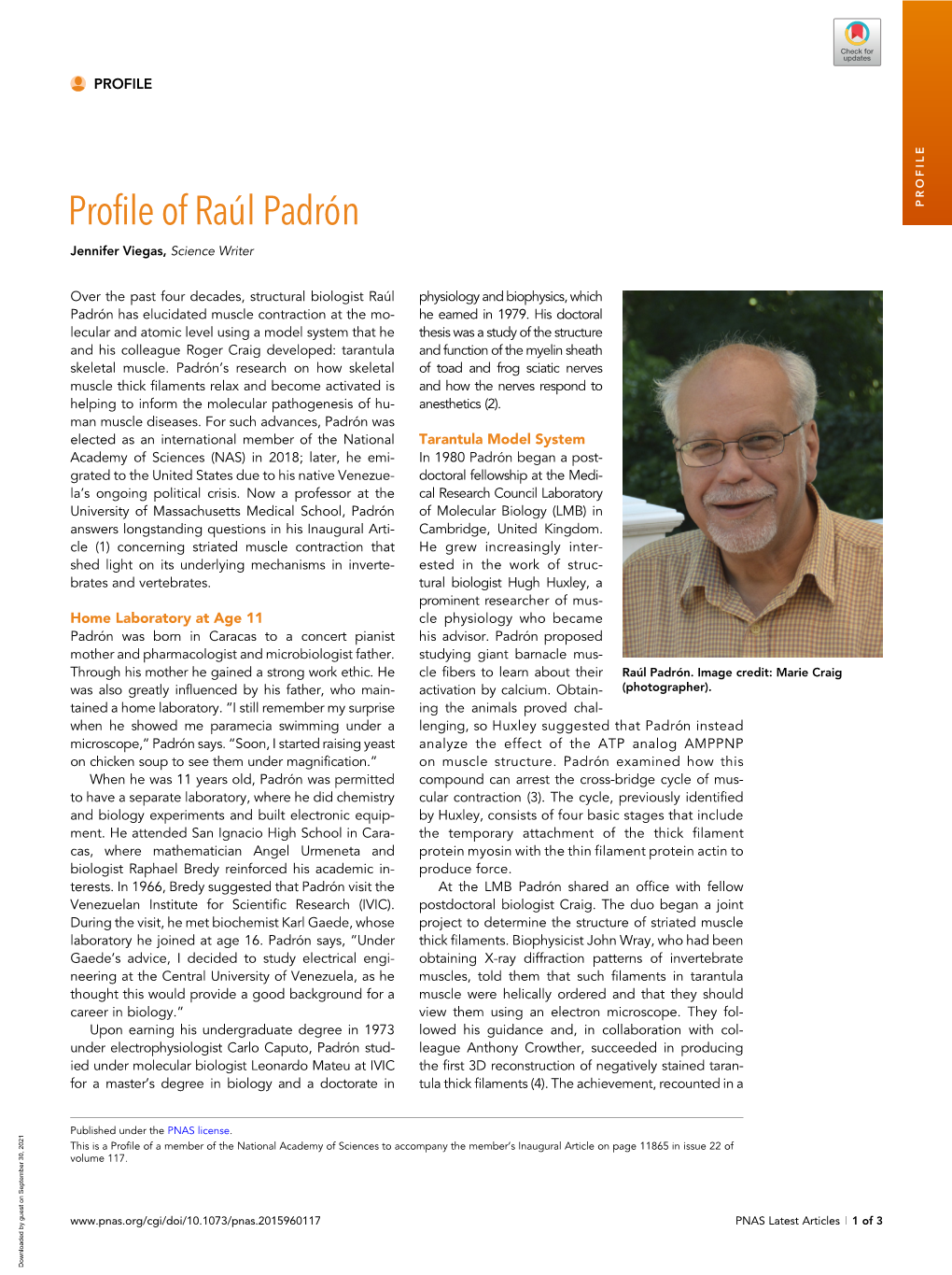 Profile of Ra ´Ul Padr