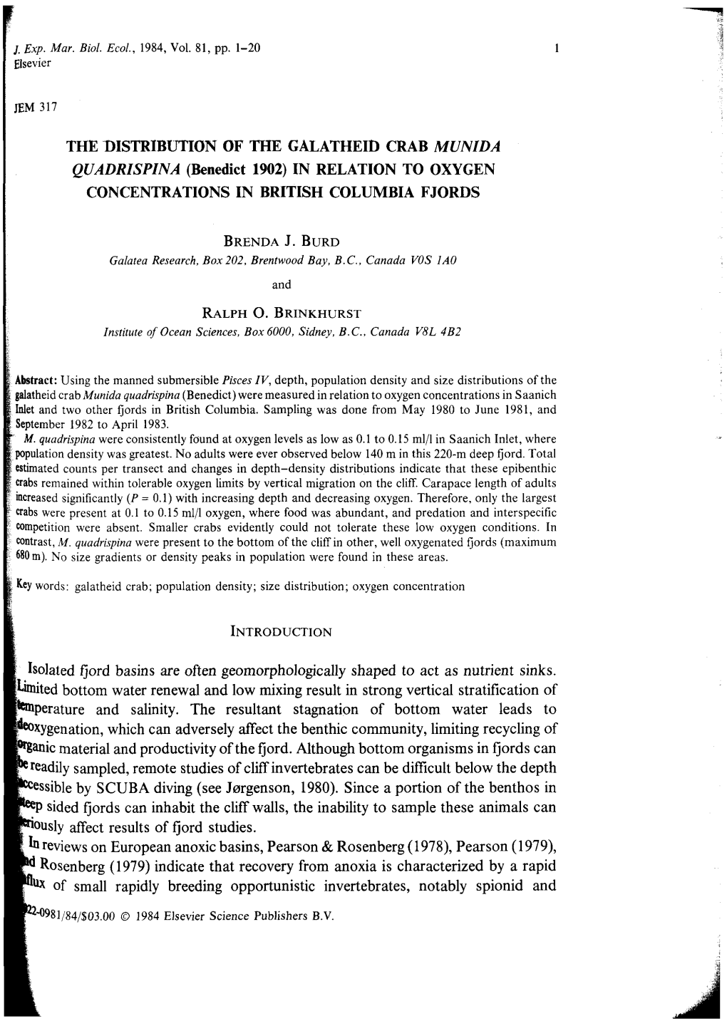 THE DISTRIBUTION of the GALATHEID CRAB MUNIDA QUADRISPINA (Benedict 1902) in RELATION to OXYGEN CONCENTRATIONS in BRITISH COLUMBIA FJORDS