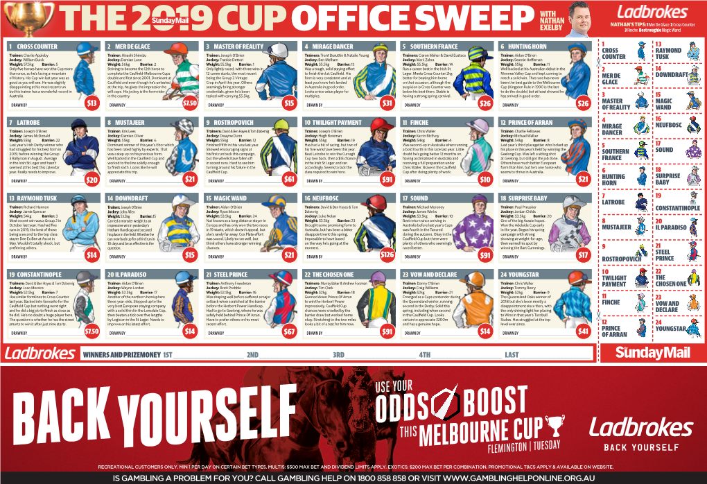 NED-586 Courier Mail Melbourne Cup Sweep Banner