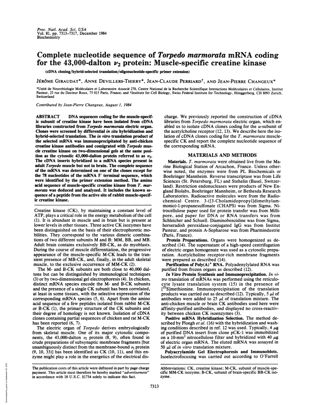 Complete Nucleotide Sequence of Torpedo Marmorata Mrna