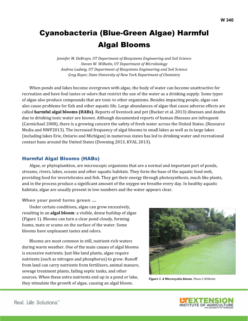 Cyanobacteria (Blue-Green Algae) Harmful Algal Blooms