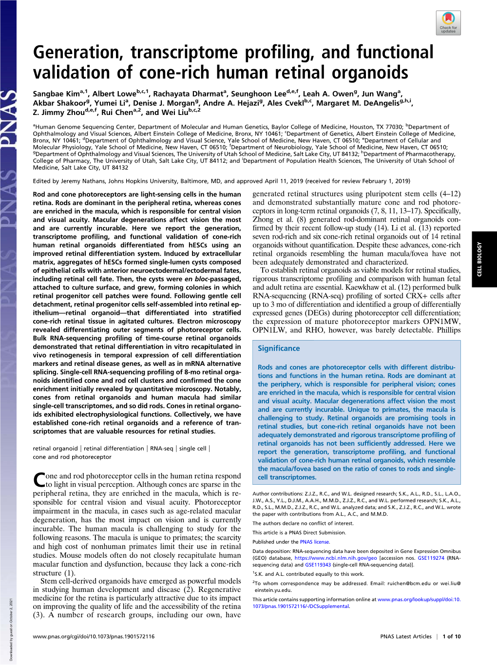 Generation, Transcriptome Profiling, and Functional Validation of Cone-Rich Human Retinal Organoids