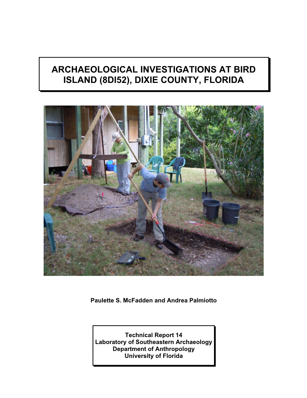 Archaeological Investigations at Bird Island (8Di52), Dixie County, Florida