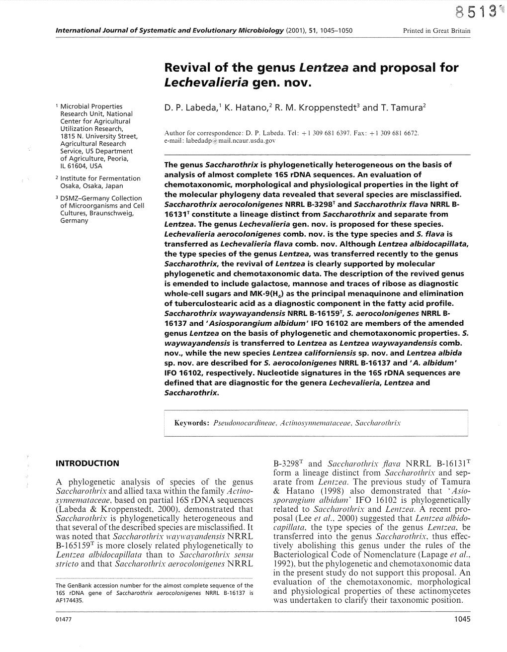 Revival of the Genus Lentzea and Proposal for Lechevalieria Gen