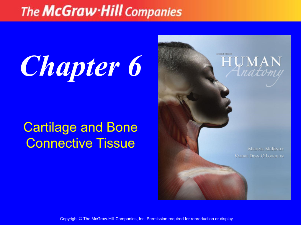 Cartilage and Bone Connective Tissue