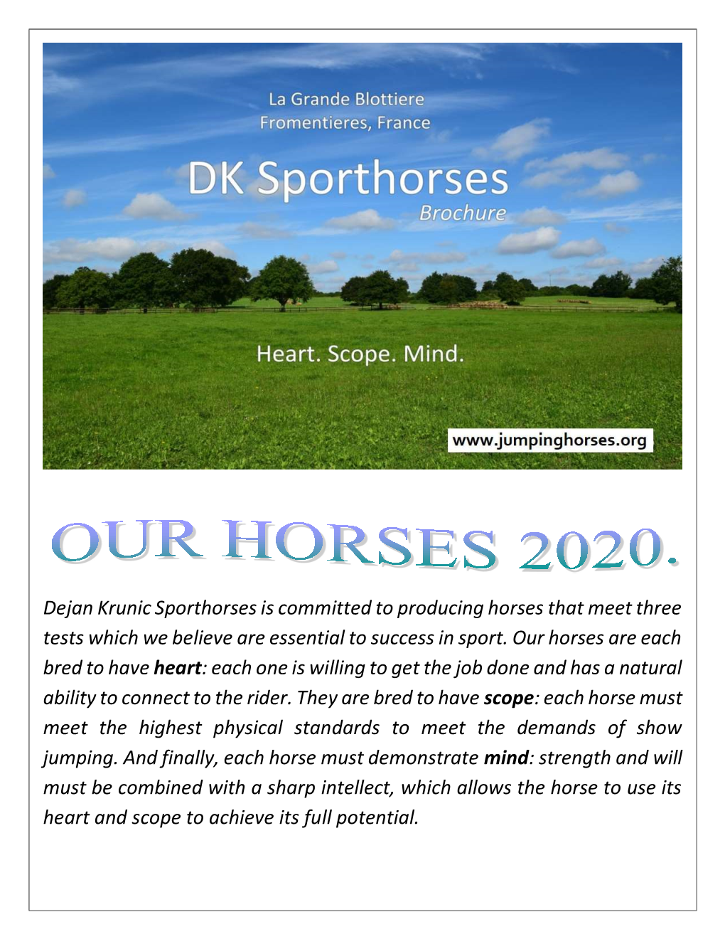 Dejan Krunic Sporthorses Is Committed to Producing Horses That Meet Three Tests Which We Believe Are Essential to Success in Sport