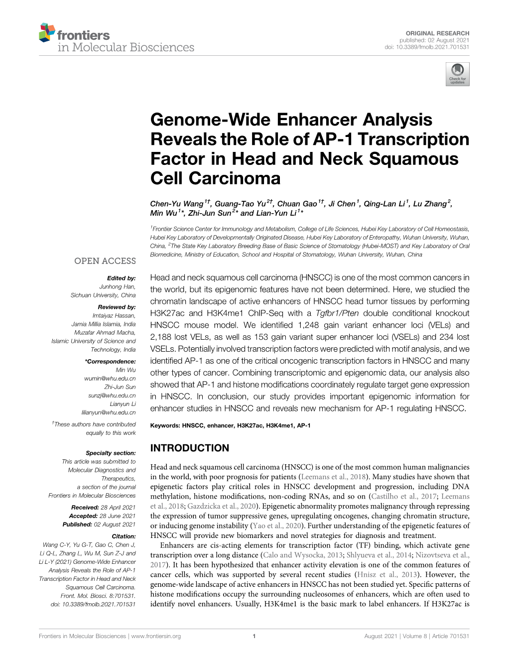 Genome-Wide Enhancer Analysis Reveals the Role of AP-1 Transcription Factor in Head and Neck Squamous Cell Carcinoma