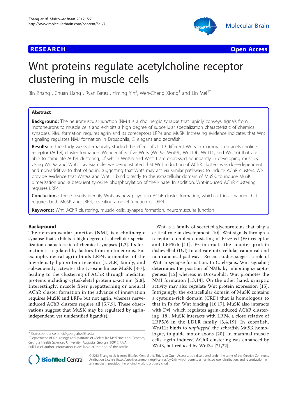 Wnt Proteins Regulate Acetylcholine Receptor Clustering in Muscle Cells Bin Zhang1, Chuan Liang1, Ryan Bates1, Yiming Yin2, Wen-Cheng Xiong1 and Lin Mei1*