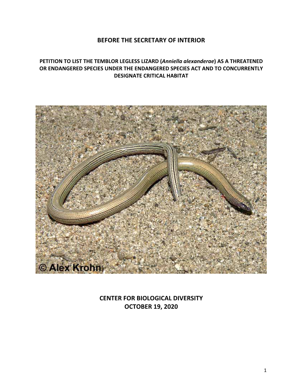 Temblor Legless Lizard Petition