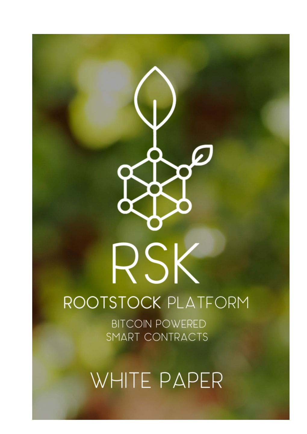 RSK White Paper Overview Page 2/20