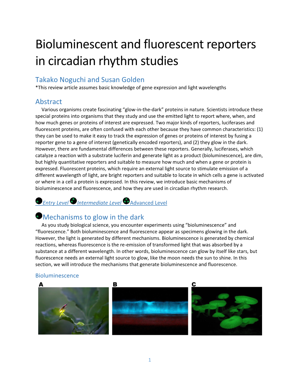 Bioluminescent and Fluorescent Reporters in Circadian Rhythm Studies