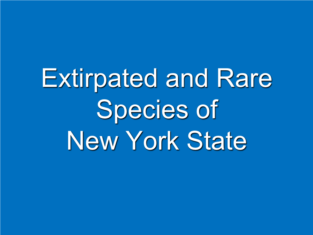 Extirpated and Rare Species of New York State Elk (Red Deer: Cervus Elaphus • Historically Low Densities in NYS • 1893 – 1906: 332 Rocky Mtn