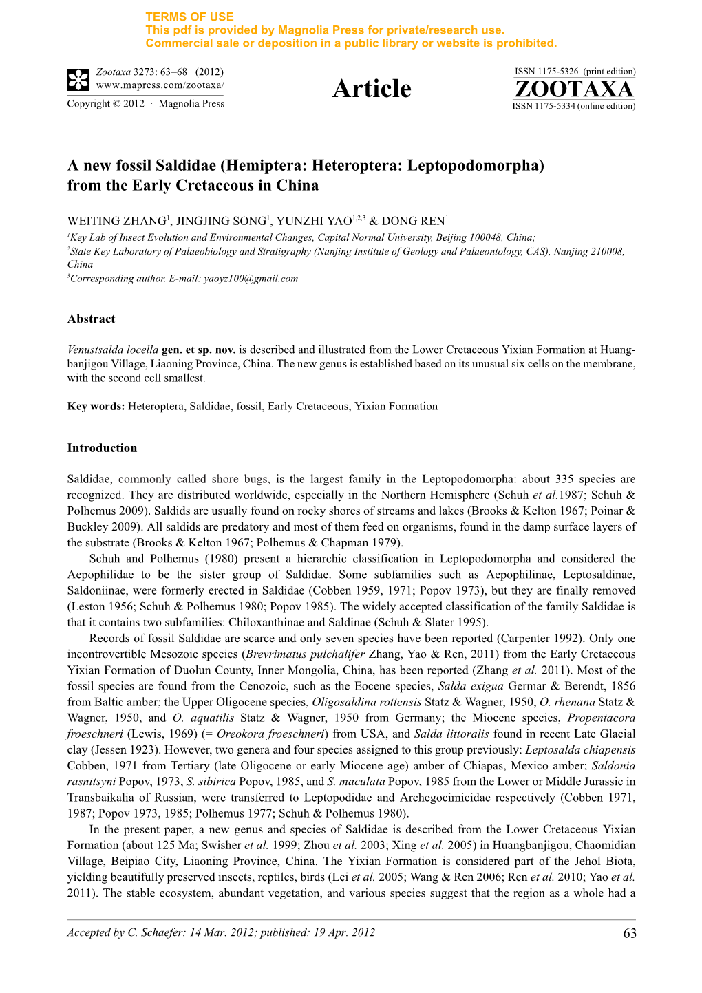 A New Fossil Saldidae (Hemiptera: Heteroptera: Leptopodomorpha) from the Early Cretaceous in China