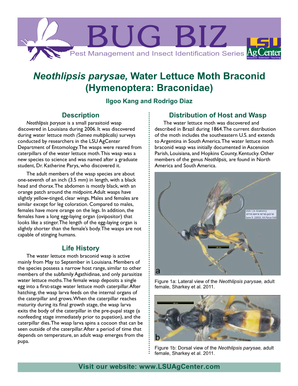 Neothlipsis Parysae, Water Lettuce Moth Braconid (Hymenoptera: Braconidae) Ilgoo Kang and Rodrigo Diaz