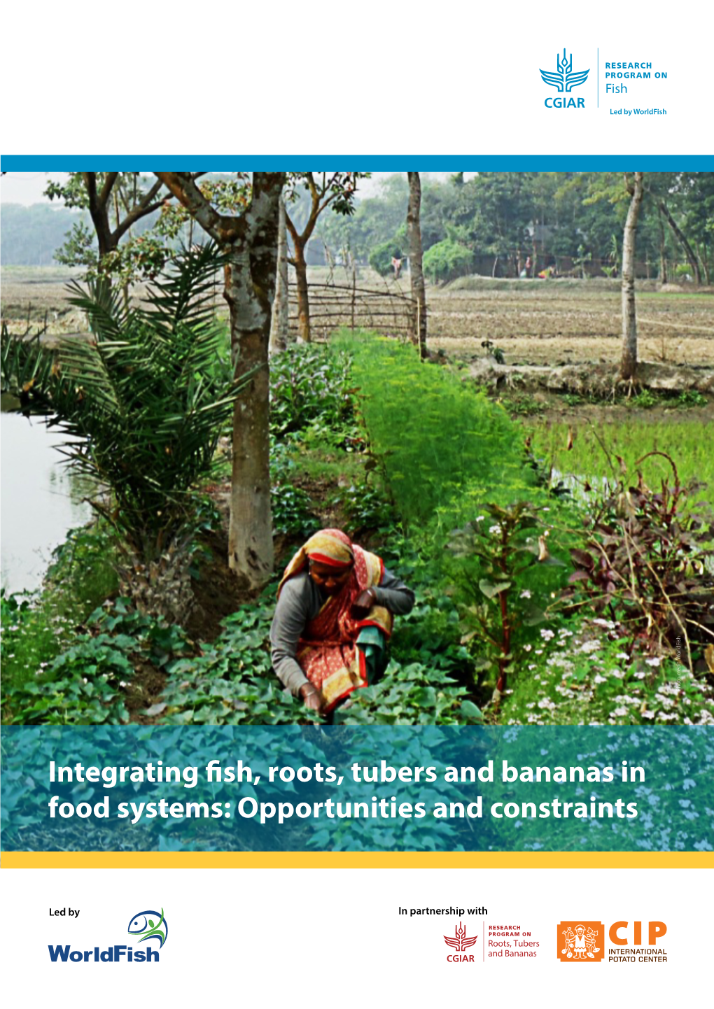 Integrating Fish, Roots, Tubers and Bananas in Food Systems: Opportunities and Constraints