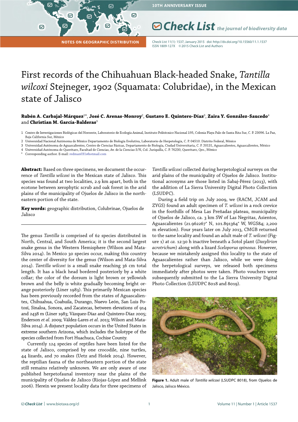 First Records of the Chihuahuan Black-Headed Snake, Tantilla Wilcoxi Stejneger, 1902 (Squamata: Colubridae), in the Mexican State of Jalisco