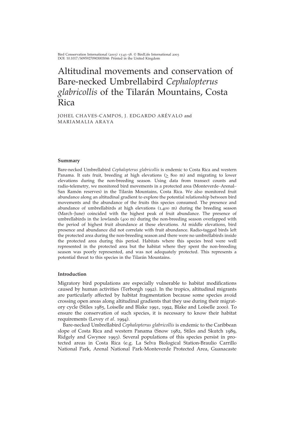 Altitudinal Movements and Conservation of Bare-Necked Umbrellabird Cephalopterus Glabricollis of the Tilara´N Mountains, Costa Rica
