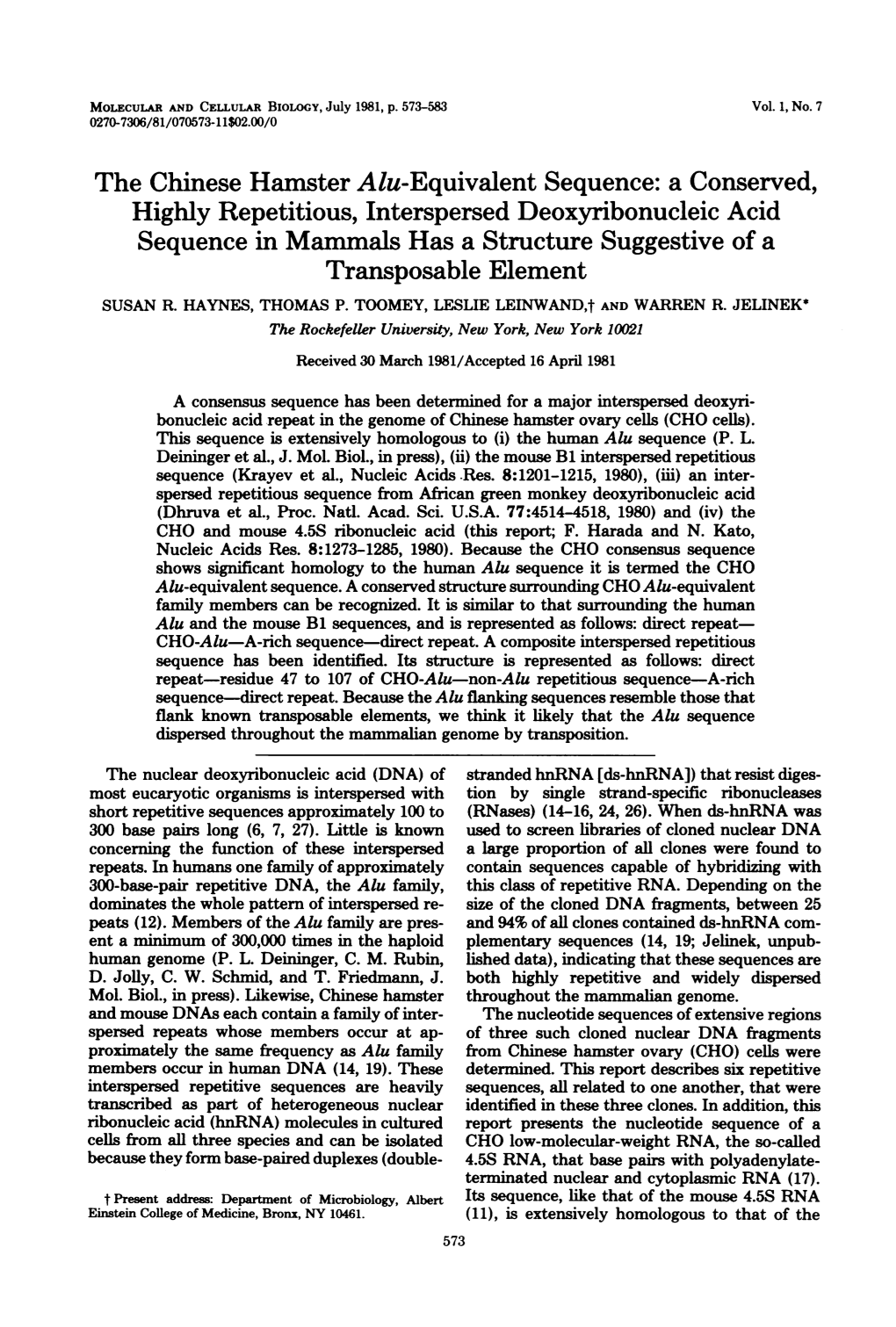 The Chinese Hamster Alu-Equivalent Sequence: a Conserved, Highly