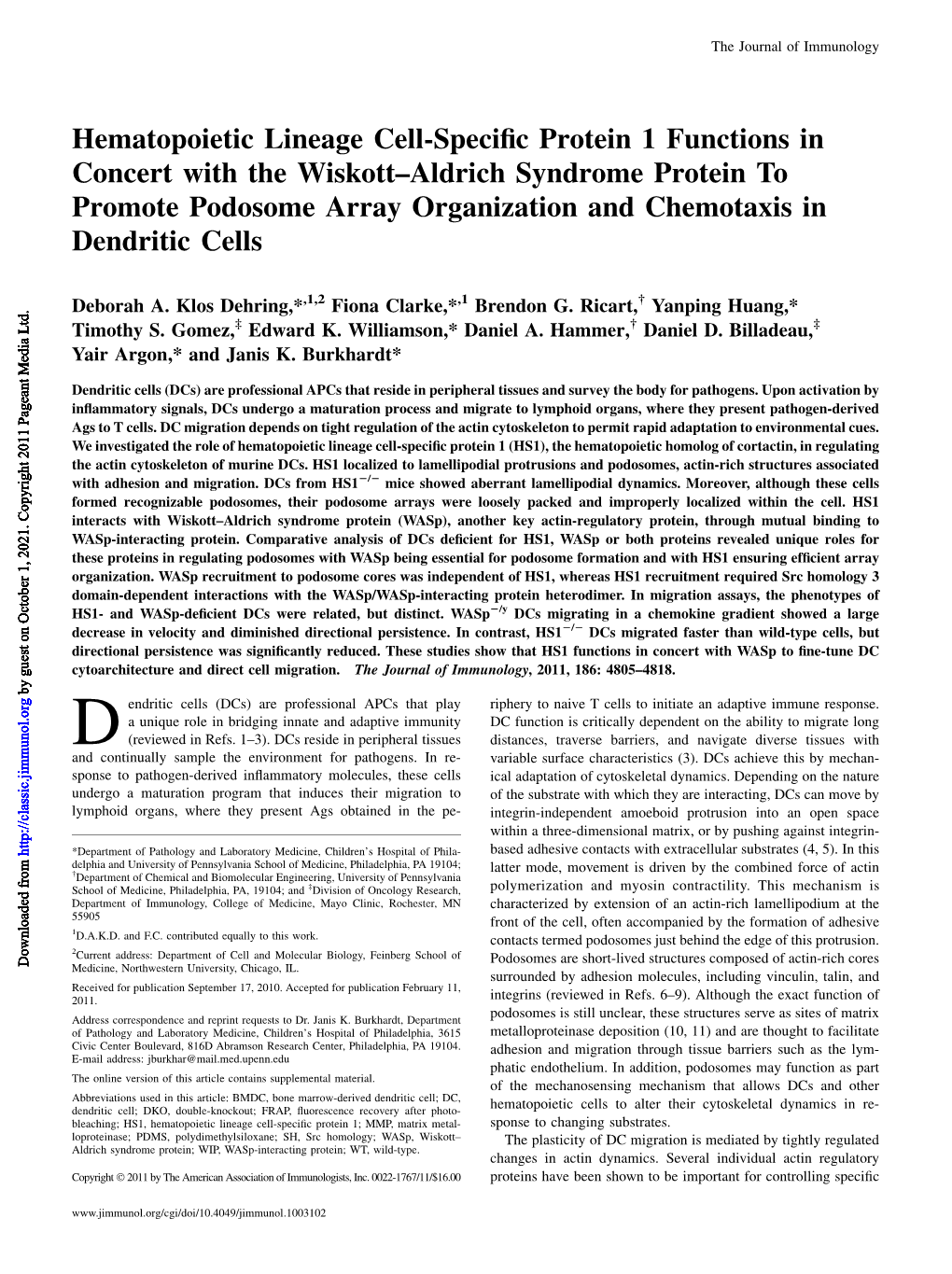 Chemotaxis in Dendritic Cells Podosome Array Organization And