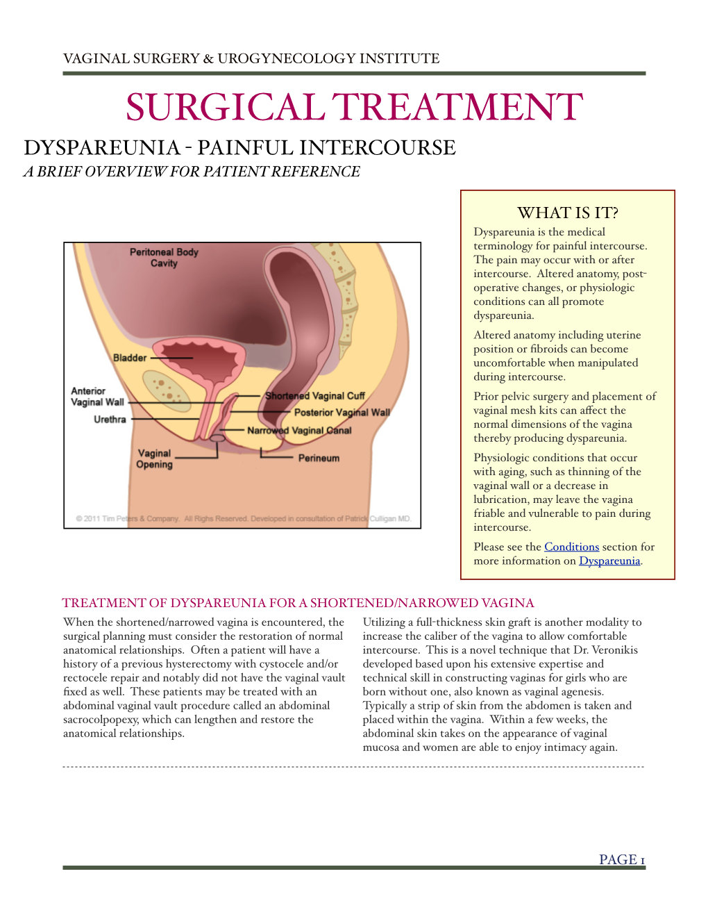 Surgical Treatment Dyspareunia - Painful Intercourse a Brief Overview for Patient Reference