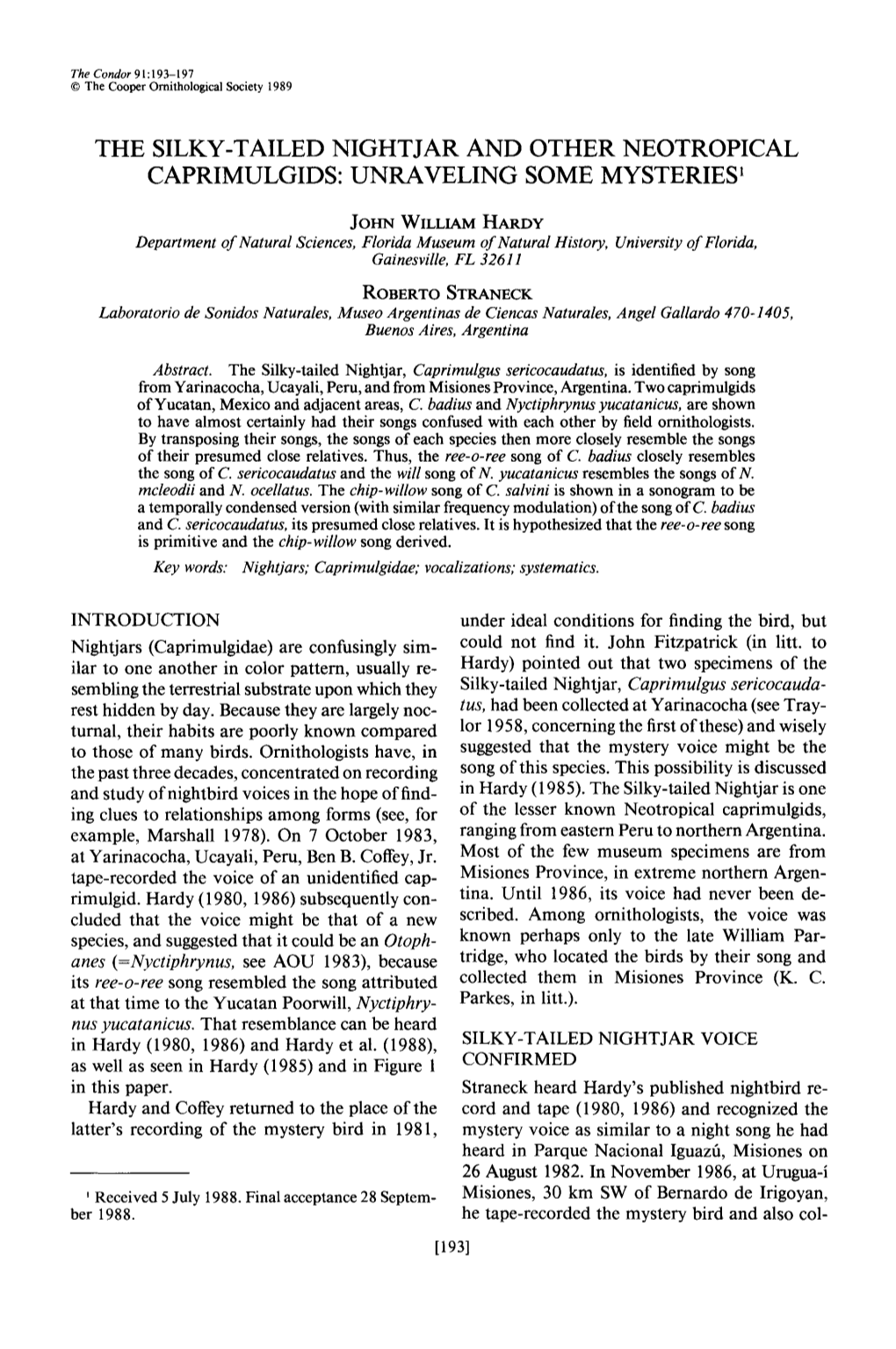 The Silky-Tailed Nightjar and Other Neotropical Caprimulgids: Unraveling Some Mysteries’