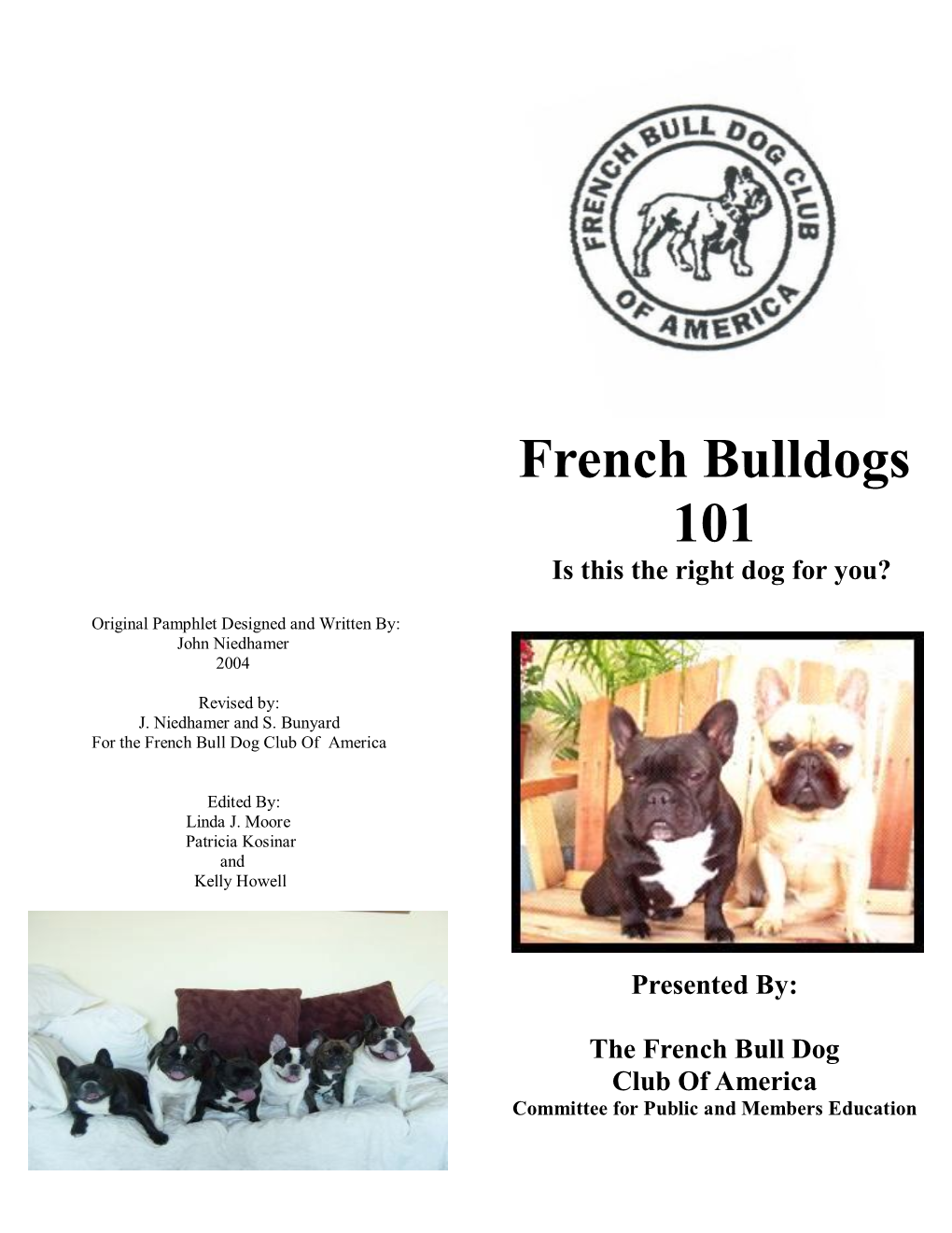 French Bulldogs 101 Is This the Right Dog for You?