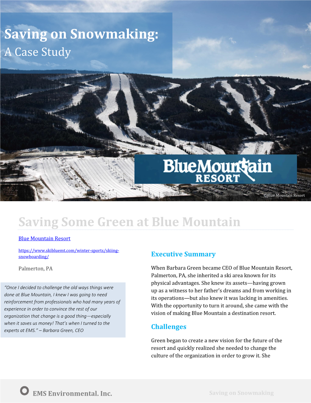 Saving on Snowmaking: a Case Study