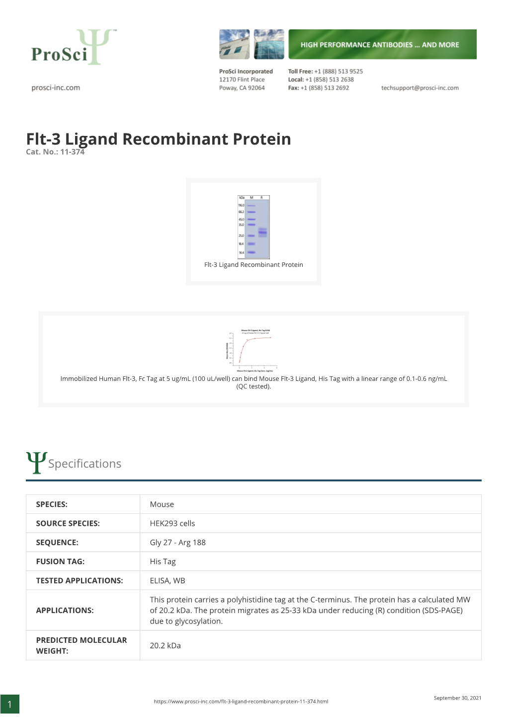 Flt-3 Ligand Recombinant Protein Cat