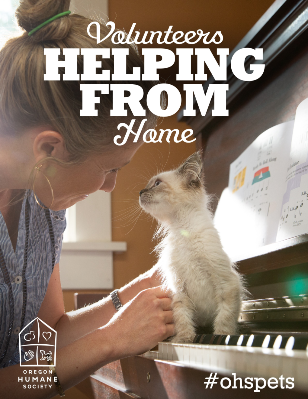 Guide to Volunteering from Home