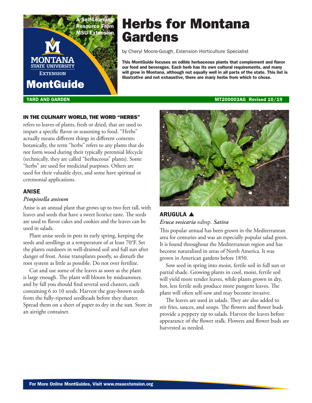 Herbs for Montana Gardens by Cheryl Moore-Gough, Extension Horticulture Specialist