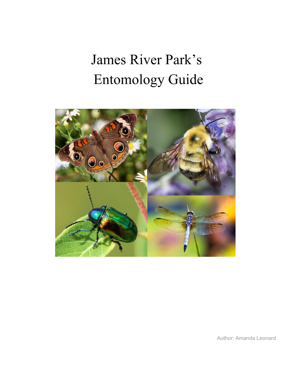 James River Park's Entomology Guide