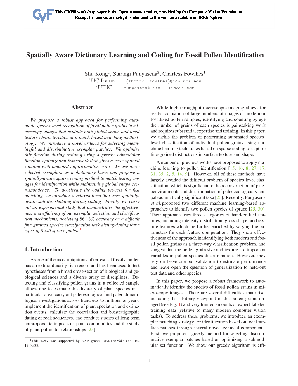 Spatially Aware Dictionary Learning and Coding for Fossil Pollen Identiﬁcation